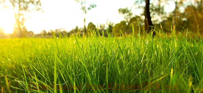手机号轰在线网页版入口